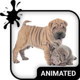 com.wave.keyboard.theme.cutepuppiesanimatedkeyboard