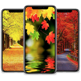 com.andromo.dev733677.app862423