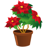 ir.s.r.d.g.aparte.mani