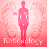 dev.distudio.reflexology