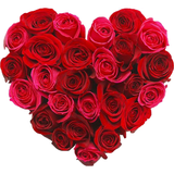 com.flowerstickers.wastickerapps