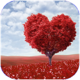 kalale.jomelatkotahasheghane