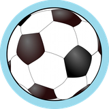 com.codehaha.football_live_scores