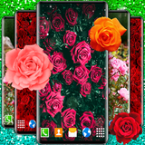 wallpapers2017.rose.lwp