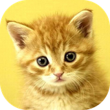 br.com.babyanimalsgame