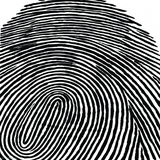 zendegi.name.bozorgan