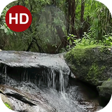 ir.hmh.PeaceLiveWallpaper_11_free