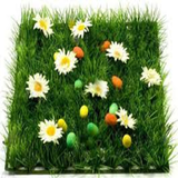 ir.kashte.sheke.sabze.eyd.d1