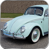 com.cs.beetle