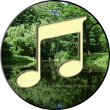 com.andromo.dev628657.app741749