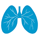 com.breathing_exercise