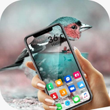 transparent.wallpaper.videowallpaper.livewallpaper