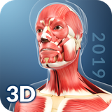 com.visual3dscience.muscle