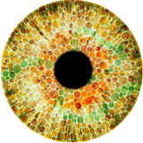 cbd.colourblindnessdetector