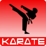 top.appslaborator.karate.training