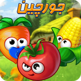 saibork.team.jurchinn