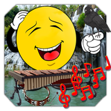 inforsaw.coleccionjuegodesonidos