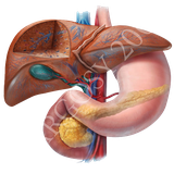 ir.aminb.dastgahegovaresh