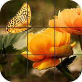 com.tordusgames.puzzles.butterfly