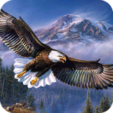 com.wallpaper.eaglewallpaper.wallpaperhd