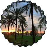 mh.ahmadinasr.qasrmh