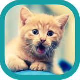 com.appcreater.animwalls3