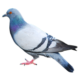solgi.tooghi