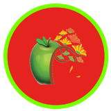 com.mychermahin.razesalamati