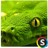 com.Sadroid.Photomar