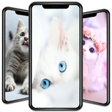 com.nicehdapps.cute.cat.wallpapers.cats.wallpaper.HD