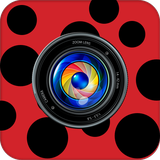 com.appinaweek.cameradictgp