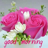 com.maghrebunited.Morning.Flowers19