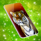 tiger.free.wild.wallpapers