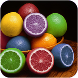 speed.ravanshenasirangha