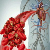 net.andromo.dev687069.app856954