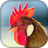 com.farad.entertainment.kids_sound