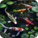 com.moyleg.koipond