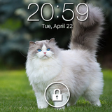 com.lockappstudio.kitty.cat.pin.lockscreen