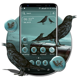 com.prettythemes.mystery.box.crow