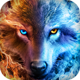 app.wallpaper.wolf