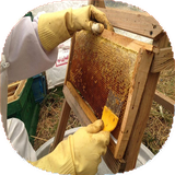 com.mnz_ht.zanbordare