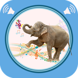 com.roboxy.elephantsound