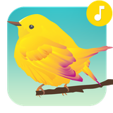 com.candystudio.freebirdsound