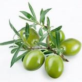 pedram.motamedi.siahpoush