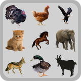com.q2developer.animalsounds