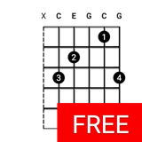 com.musictrainer.guitarchords