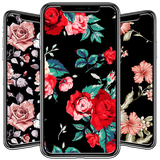 com.andromo.dev680484.app729336