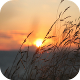 com.leafgreen.sunrise