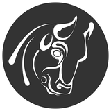 com.repersia.persepolis