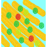 com.rax.edunineebaratghoya